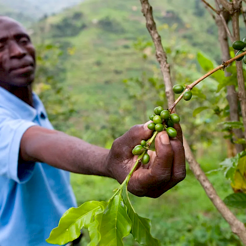 Restoration: a lifeline to the future we need