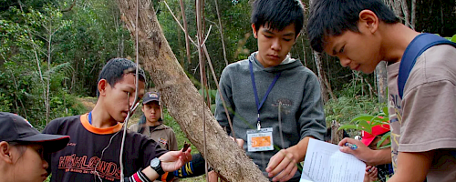ITTO And IUFRO Release Learning Modules To Encourage Forest Landscape Restoration