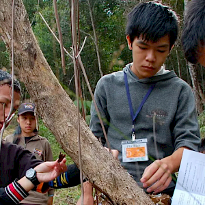 ITTO And IUFRO Release Learning Modules To Encourage Forest Landscape Restoration