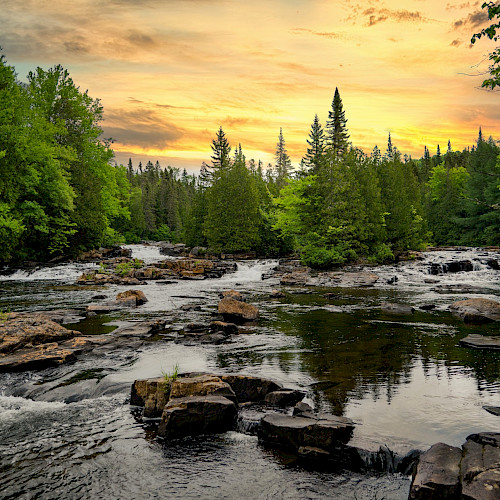 Forest Landscape Restoration – Pathways to Achieving the SDGs