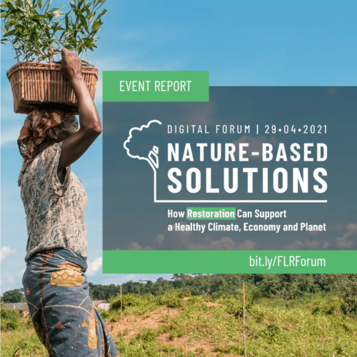 Nature-Based Solutions – How Restoration Can Support a Healthy Climate, Economy and Planet