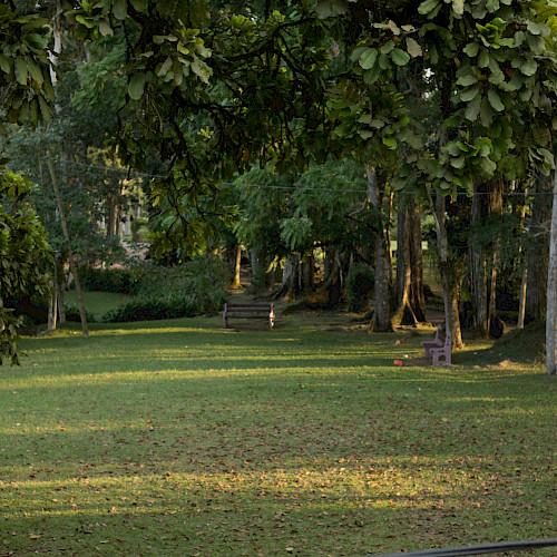 Making restoration pay in Ghana’s degraded forest reserves