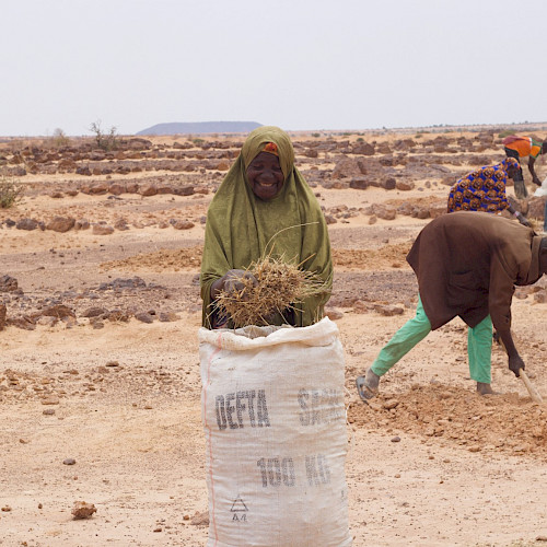 Niger: farmers taking restoration into their own hands