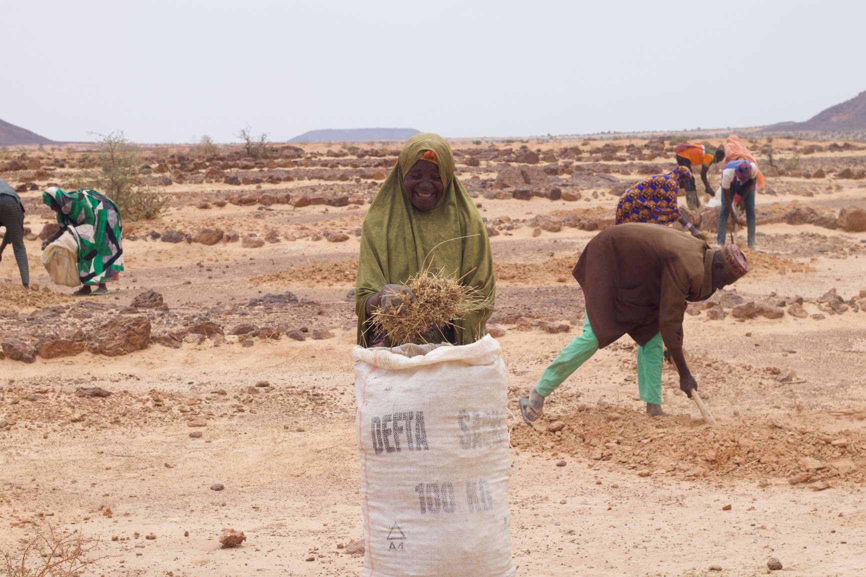 Niger: farmers taking restoration into their own hands