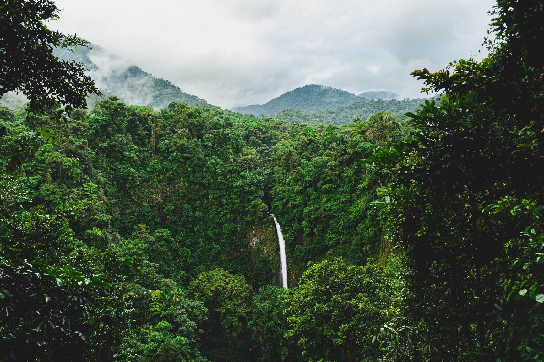 One hectare at a time: restoration of a model forest in Costa Rica