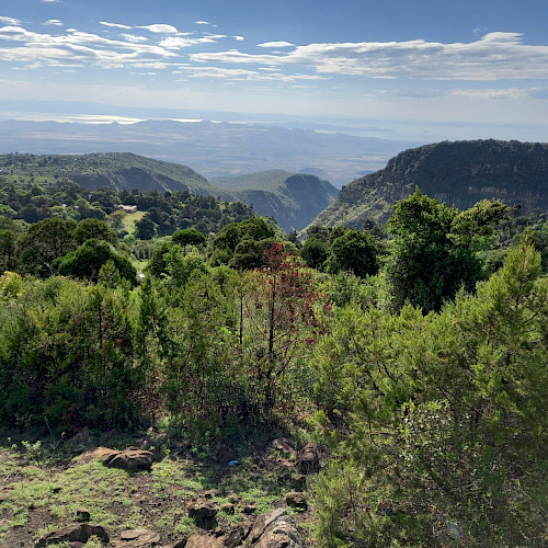 Restoring Landscapes and Resilience in Burundi