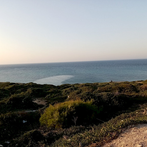 Oases Ecosystems and Livelihoods Project, Tunisia