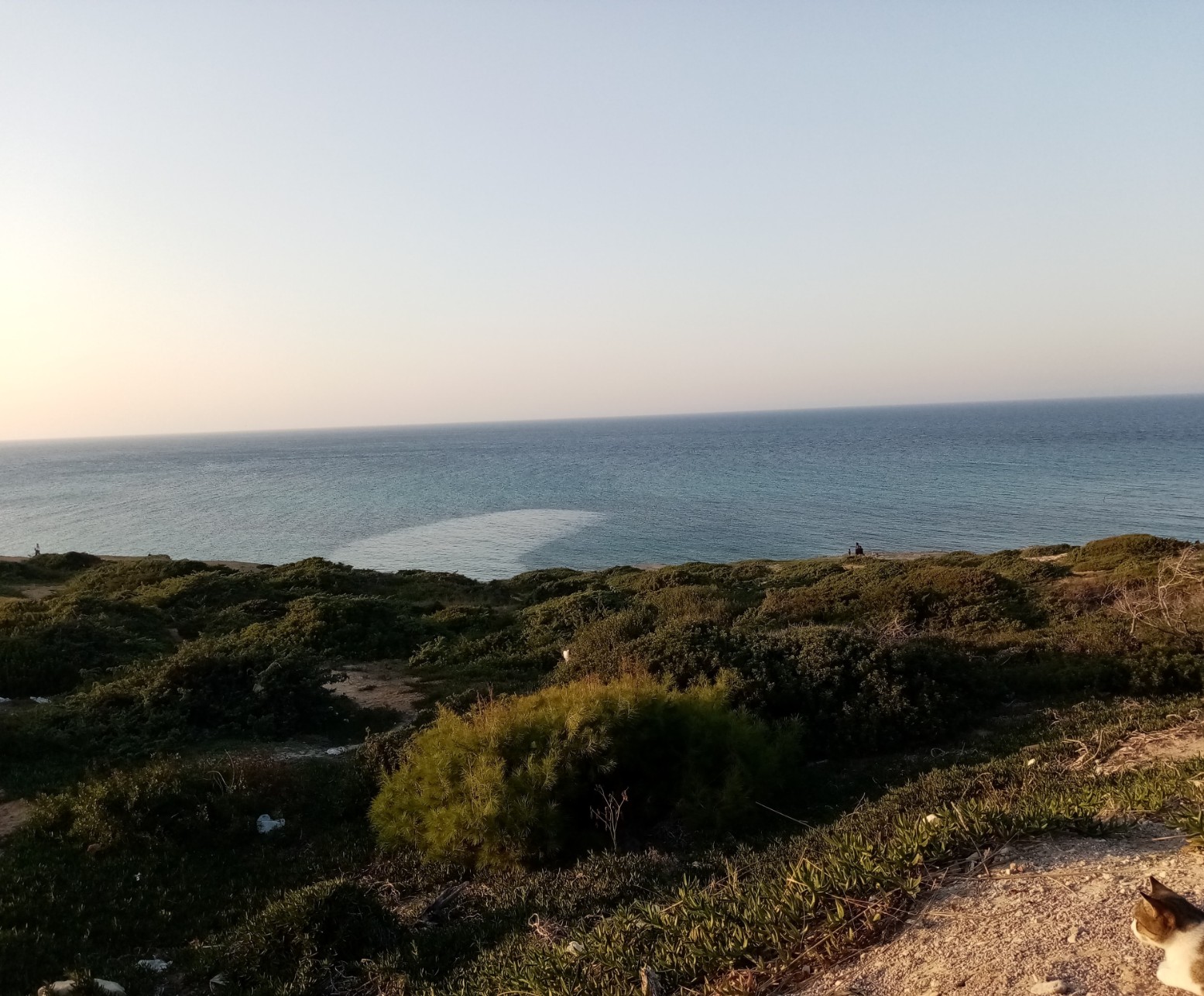 Oases Ecosystems and Livelihoods Project, Tunisia