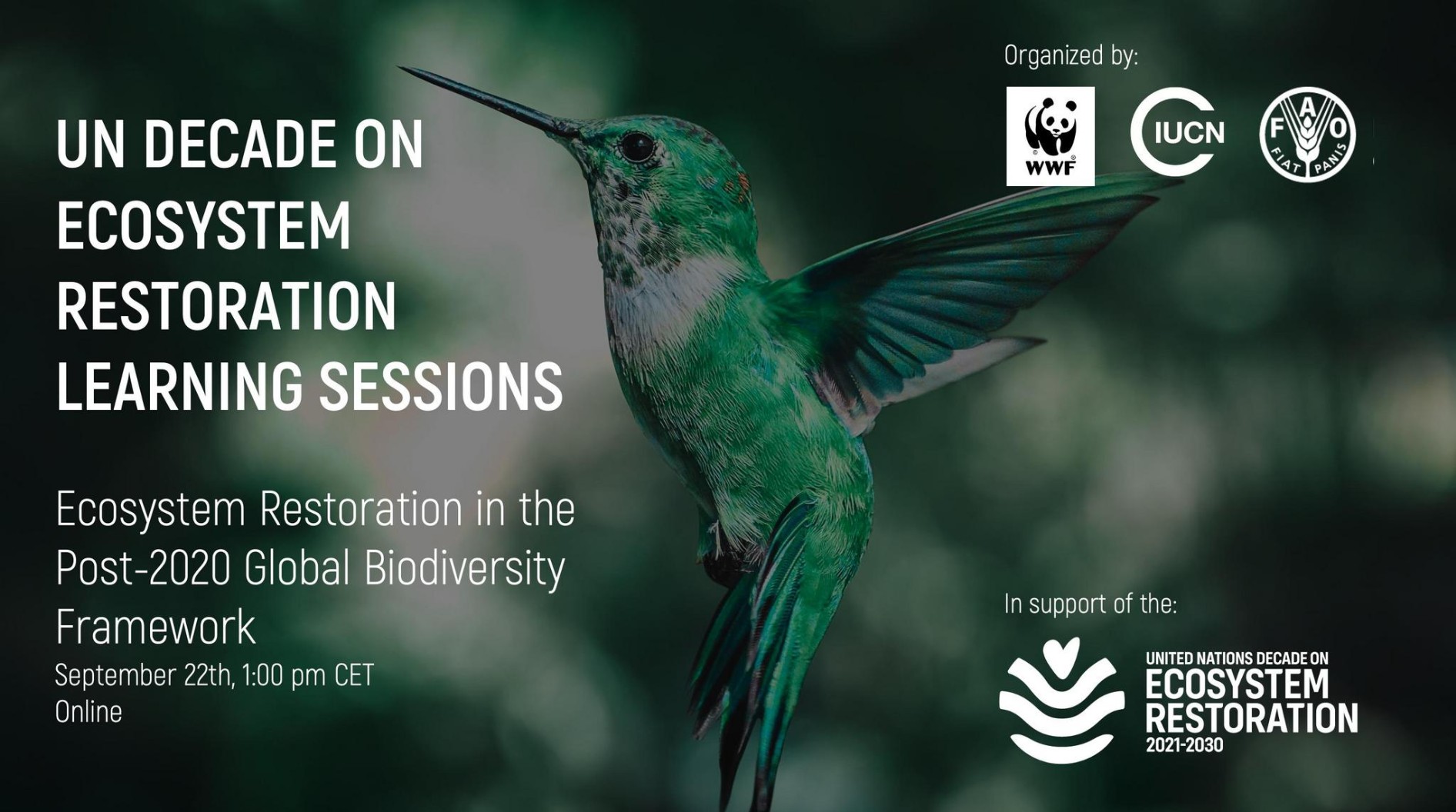 UN Decade Learning Sessions: Ecosystem Restoration in the Post-2020 Global Biodiversity Framework