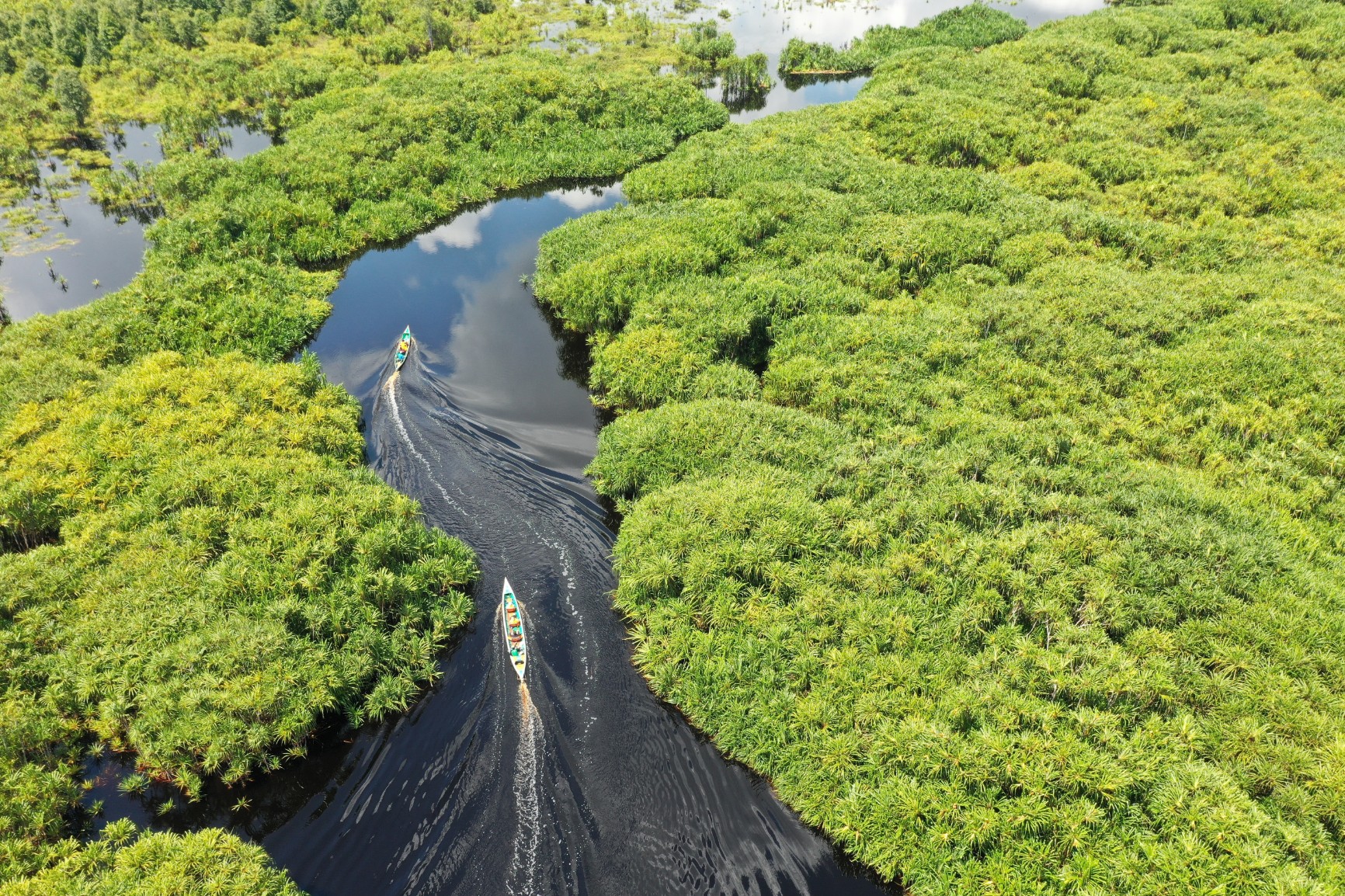 What is at stake for ecosystem restoration in the post-2020 Global Biodiversity Framework