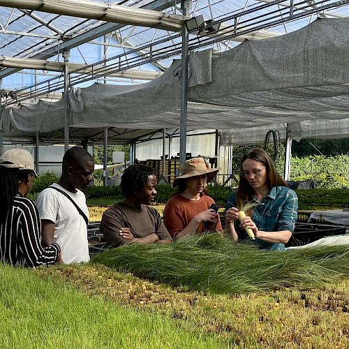 Shared Learning, Shared Passion: United States Forest Service hosts Zimbabwean partner My Trees Trust for reforestation study tour