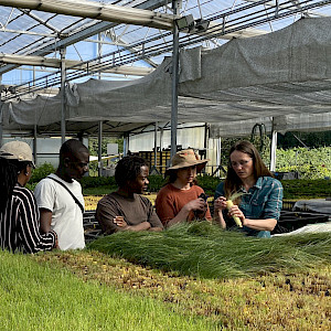 Shared Learning, Shared Passion: United States Forest Service hosts Zimbabwean partner My Trees Trust for reforestation study tour