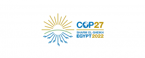 The GPFLR partners actions at COP27