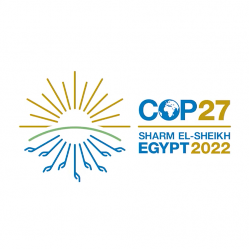 The GPFLR partners actions at COP27