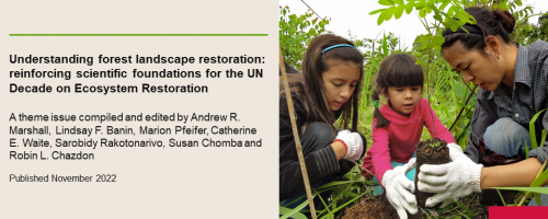 Understanding forest landscape restoration: reinforcing scientific foundations for the UN Decade on Ecosystem Restoration