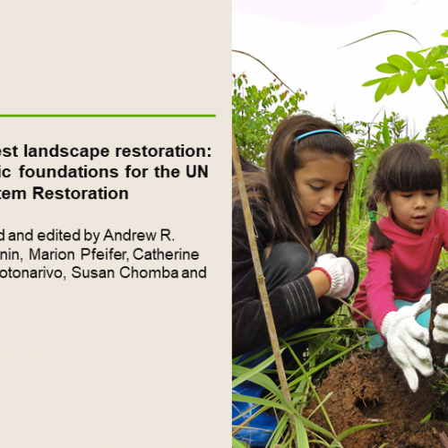 Understanding forest landscape restoration: reinforcing scientific foundations for the UN Decade on Ecosystem Restoration