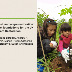 Understanding forest landscape restoration: reinforcing scientific foundations for the UN Decade on Ecosystem Restoration