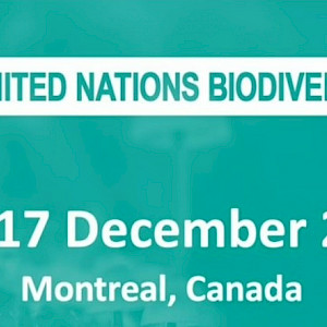 GPFLR Partners at COP15 next week