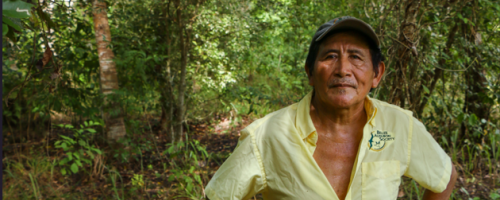 Felipe Marin: the man who has embraced reforesting his land with mahogany and cedar