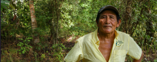 Felipe Marin and the reforestation of a land with Mahogany and cedar