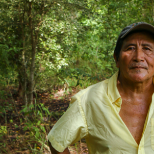 Felipe Marin and the reforestation of a land with Mahogany and cedar