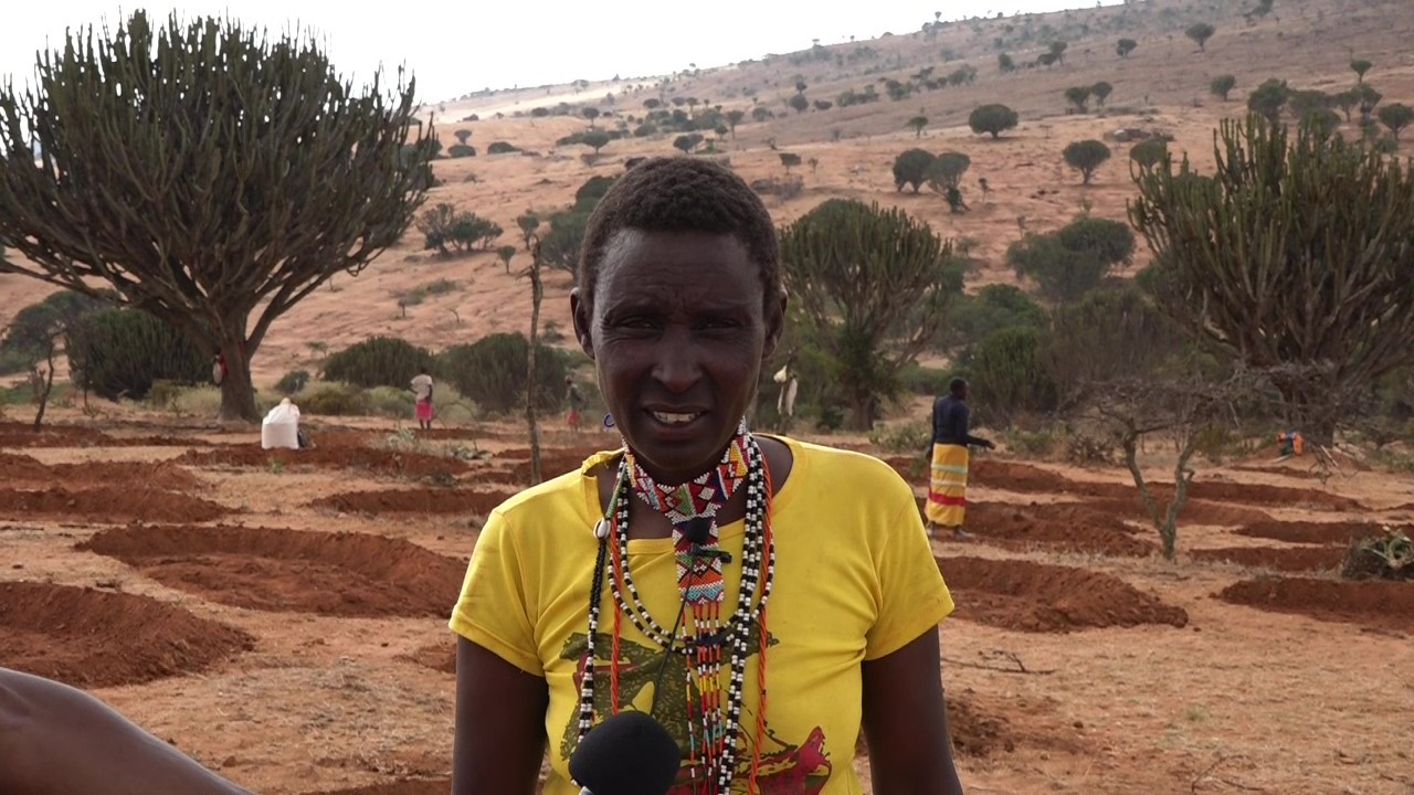 Restoring degraded lands in Kenya through community-led techniques and approaches, boosting livestock production