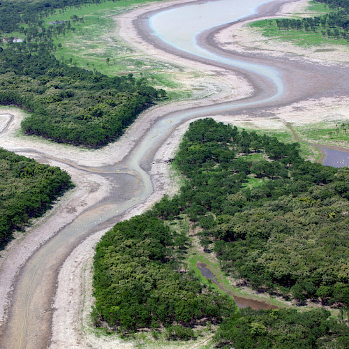 Drought or Downpour: Deforestation's Impact on Rain