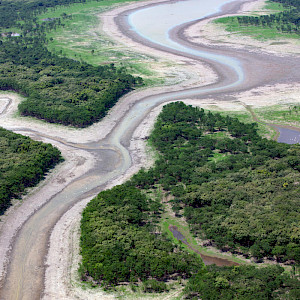 Drought or Downpour: Deforestation's Impact on Rain