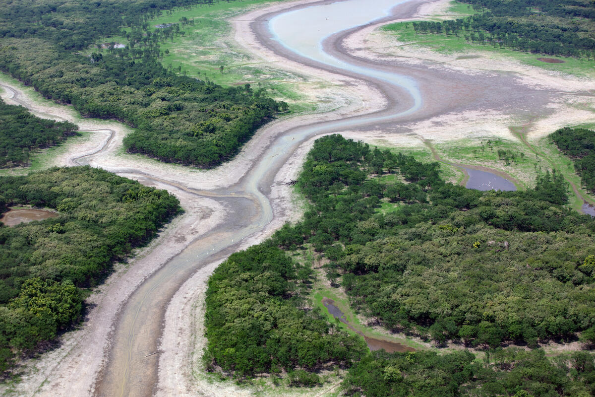 Drought or Downpour: Deforestation's Impact on Rain