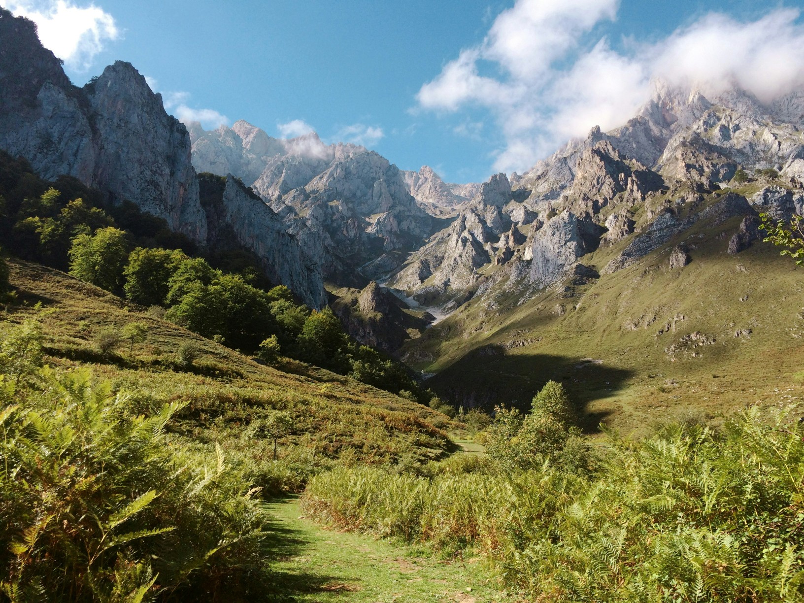 Key challenges holding back large-scale restoration in Europe