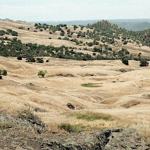 Overcoming barriers and leveraging opportunities to scale up landscape-scale restoration in Europe