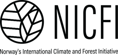 Norway's International Climate and Forest Initiative