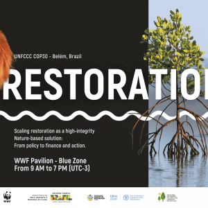 Restoration Day at COP 30