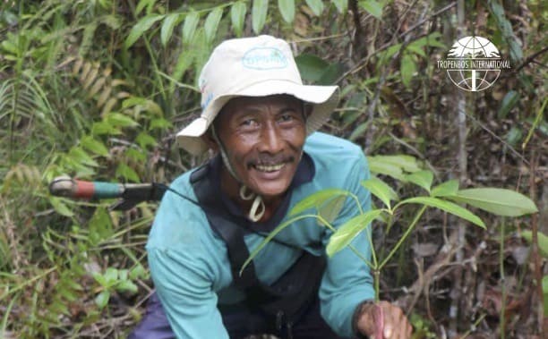 Restoring Tropical Forests — Lessons in participatory productive restoration from six countries