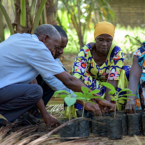 International Day of Forests 2026: Turning restoration challenges into lasting impact