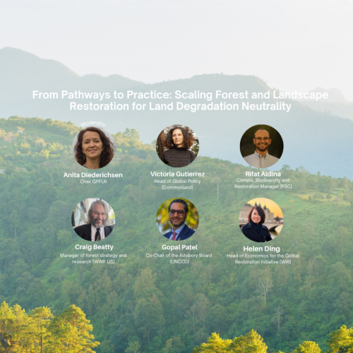 From Pathways to Practice: Scaling Forest and Landscape Restoration for Land Degradation Neutrality