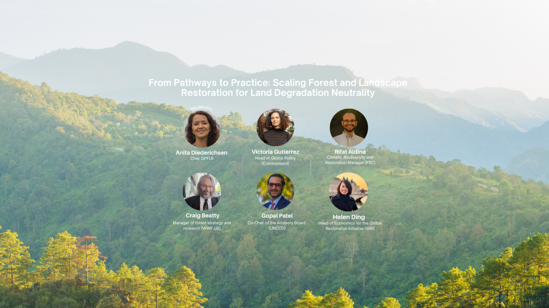 From Pathways to Practice: Scaling Forest and Landscape Restoration for Land Degradation Neutrality